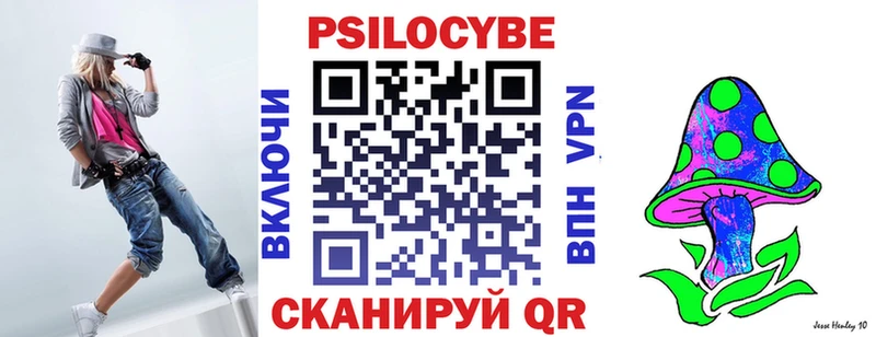Купить  Дорогобуж  Галлюциногенные грибы Cubensis 