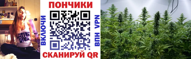 МАРИХУАНА планчик  Купить где  Дорогобуж 